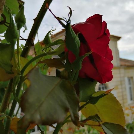 Hotel Domaine Du Chauvet Sainte-Eulalie  Zewnętrze zdjęcie